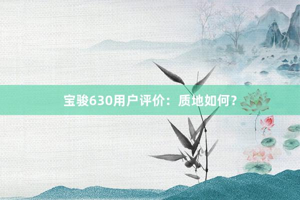 宝骏630用户评价:质地如何?