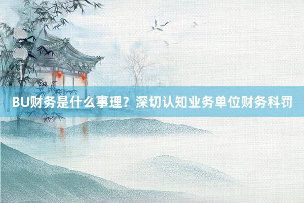 BU财务是什么事理?深切认知业务单位财务科罚