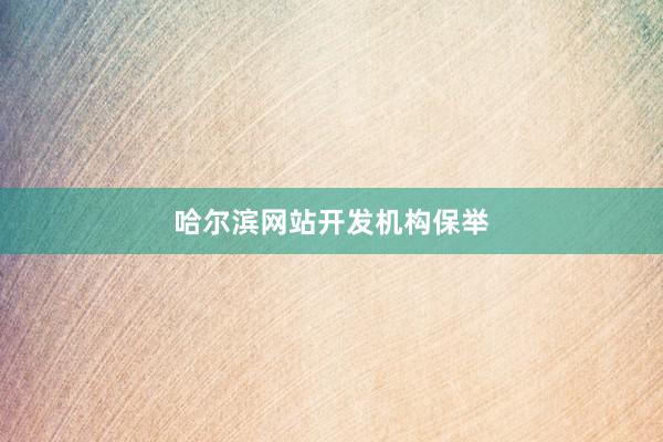 哈尔滨网站开发机构保举