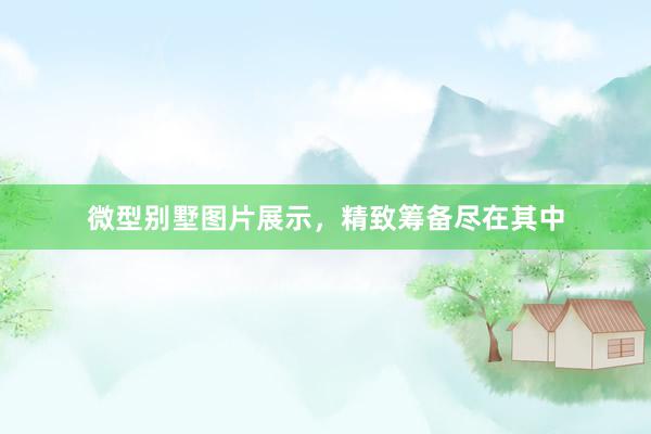 微型别墅图片展示，精致筹备尽在其中