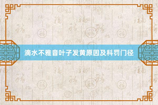 滴水不雅音叶子发黄原因及科罚门径