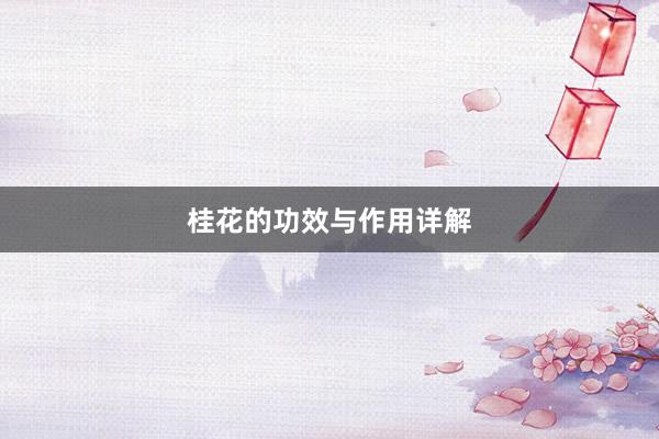 桂花的功效与作用详解