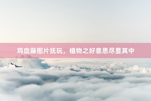 鸡血藤图片抚玩，植物之好意思尽显其中